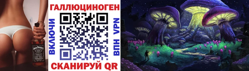 Галлюциногенные грибы Psilocybe  Окуловка 